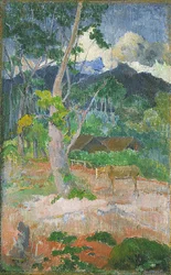 Paysage avec un cheval
